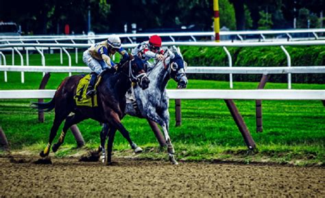 Legendary Horse Racing Rivalries .